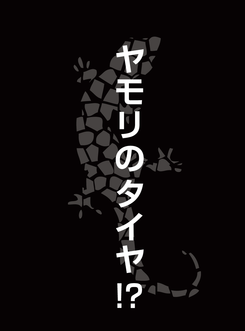 ヤモリのタイヤ!? タイヤ専用走行性能向上コーティング剤